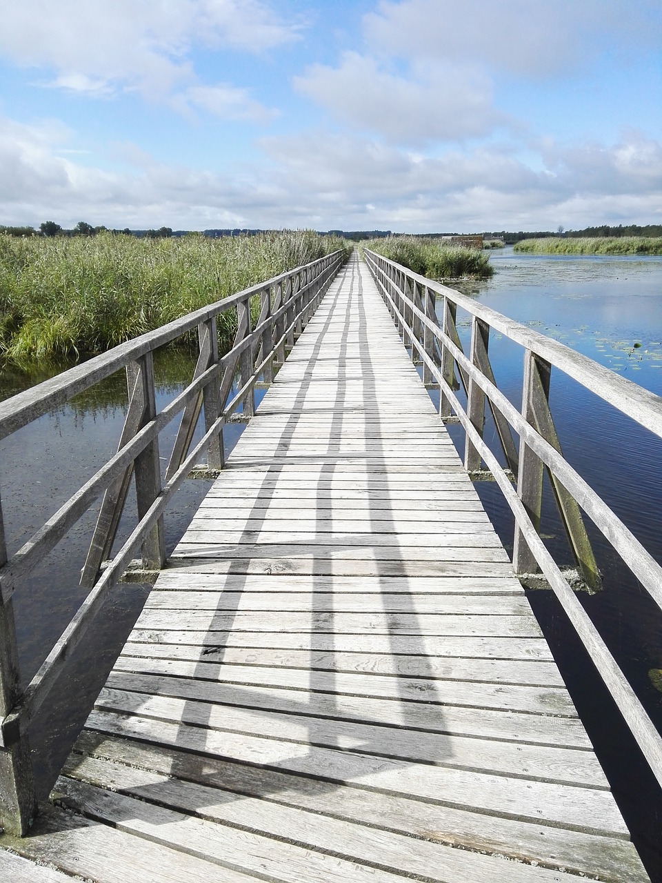 boardwalk lake nature free photo