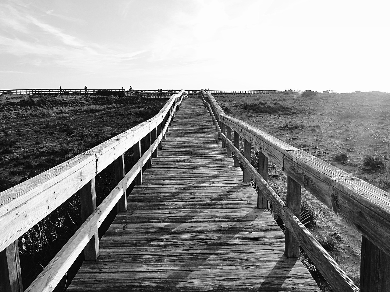 boardwalk walkway path free photo