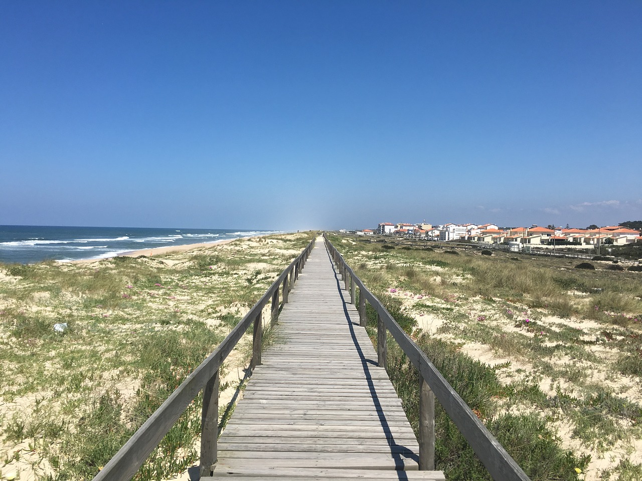 boardwalk portugal coastal path free photo