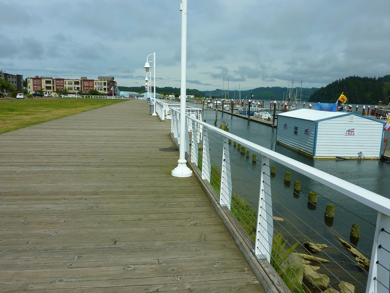 boardwalk pier harbor free photo