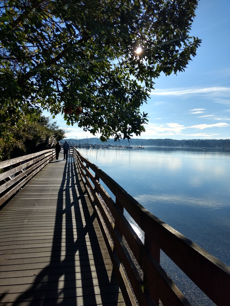 boardwalk bay water free photo