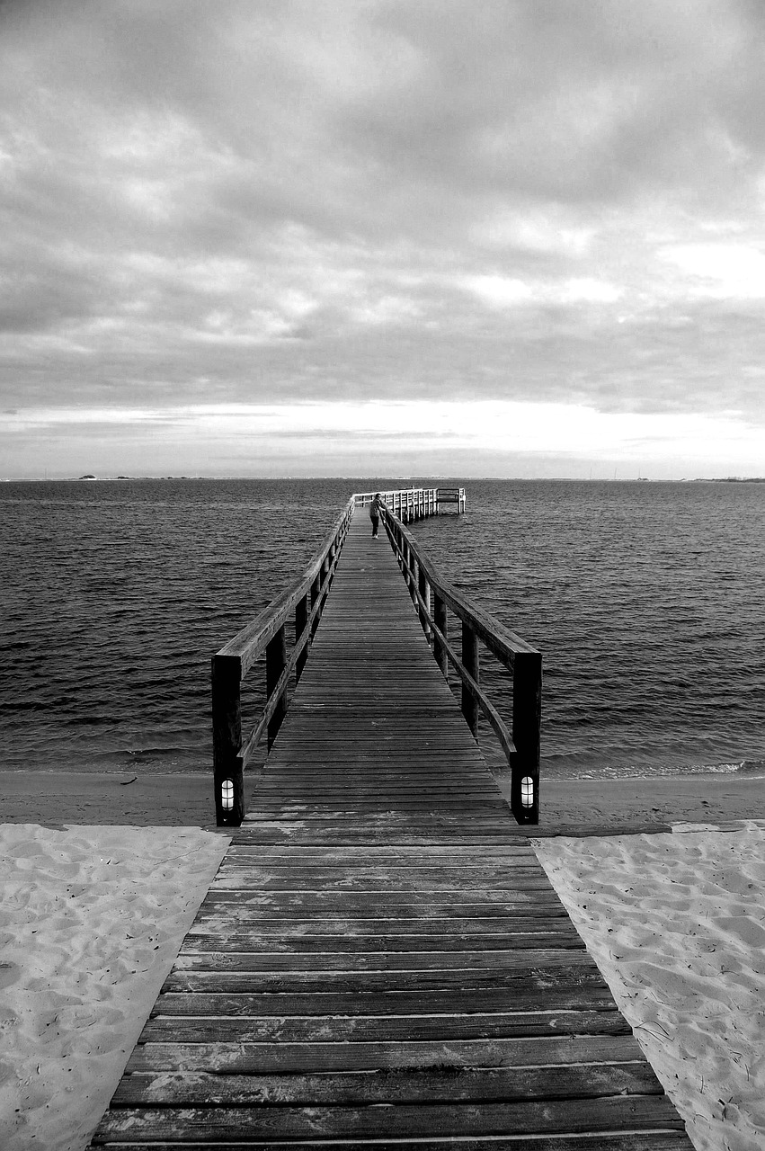 boardwalk  river  pier free photo