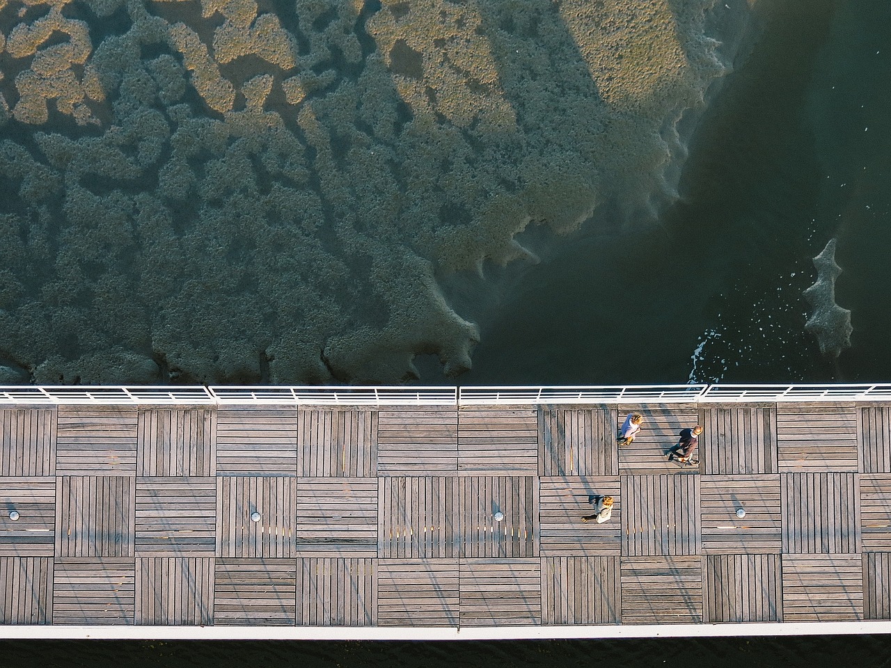 boardwalk jetty pier free photo