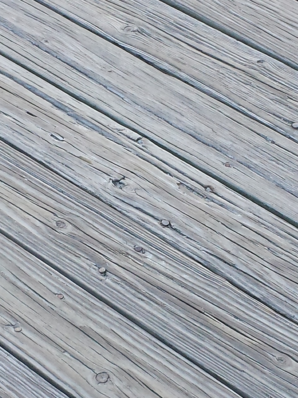 boardwalk weathered wood free photo