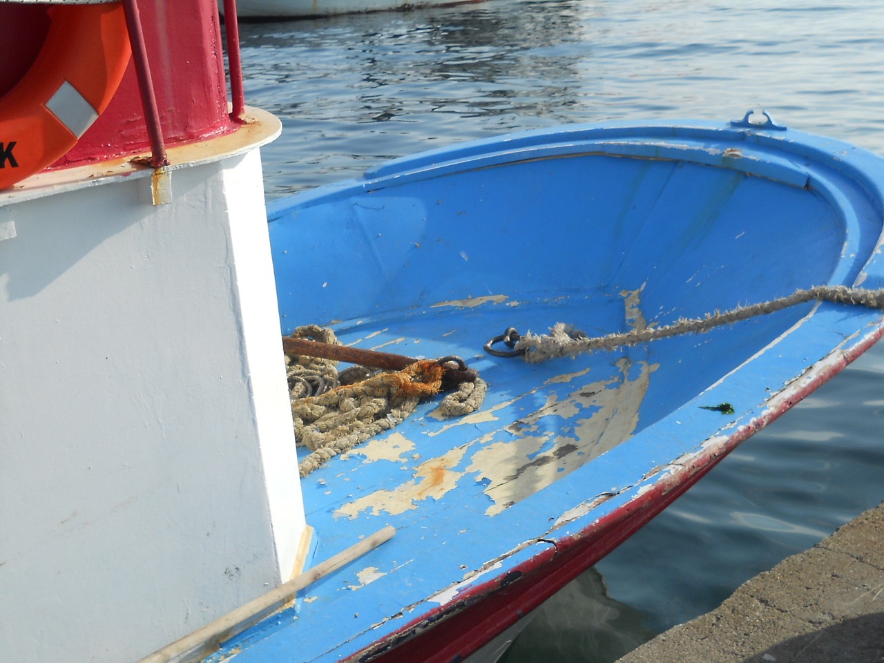 boat marine fish free photo