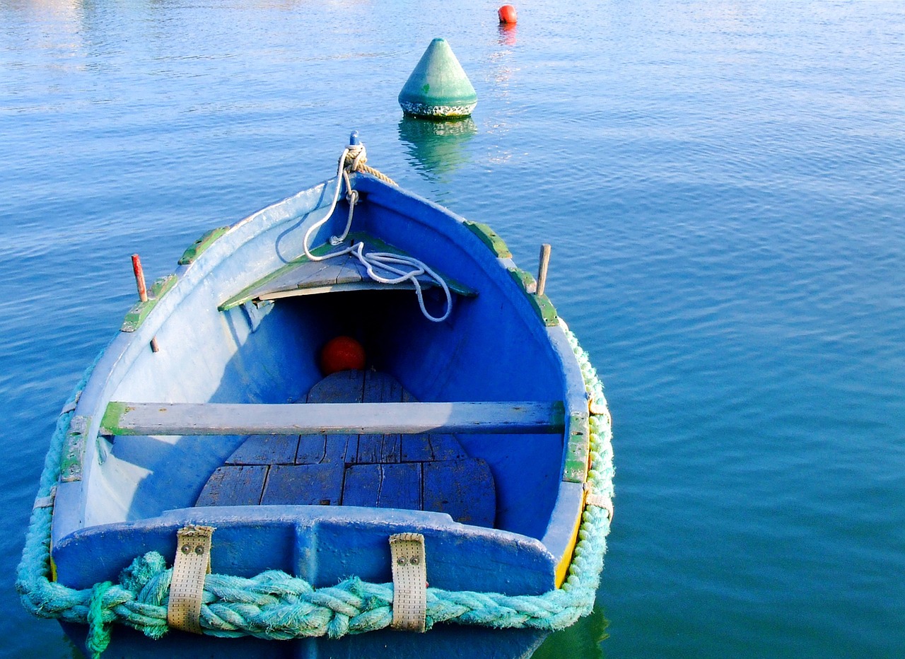 boat rowing boat blue boat free photo