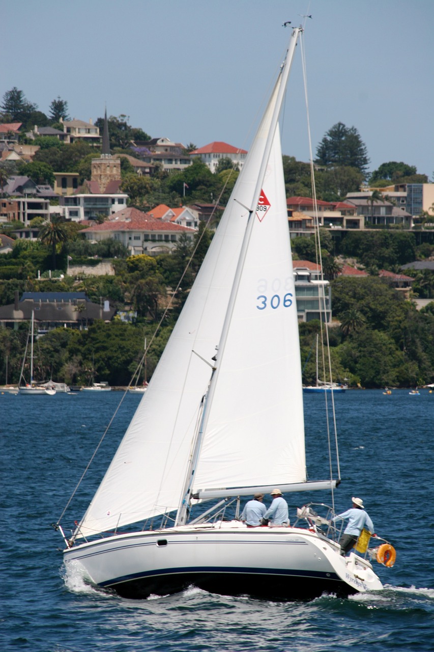 boat sailboat sea free photo