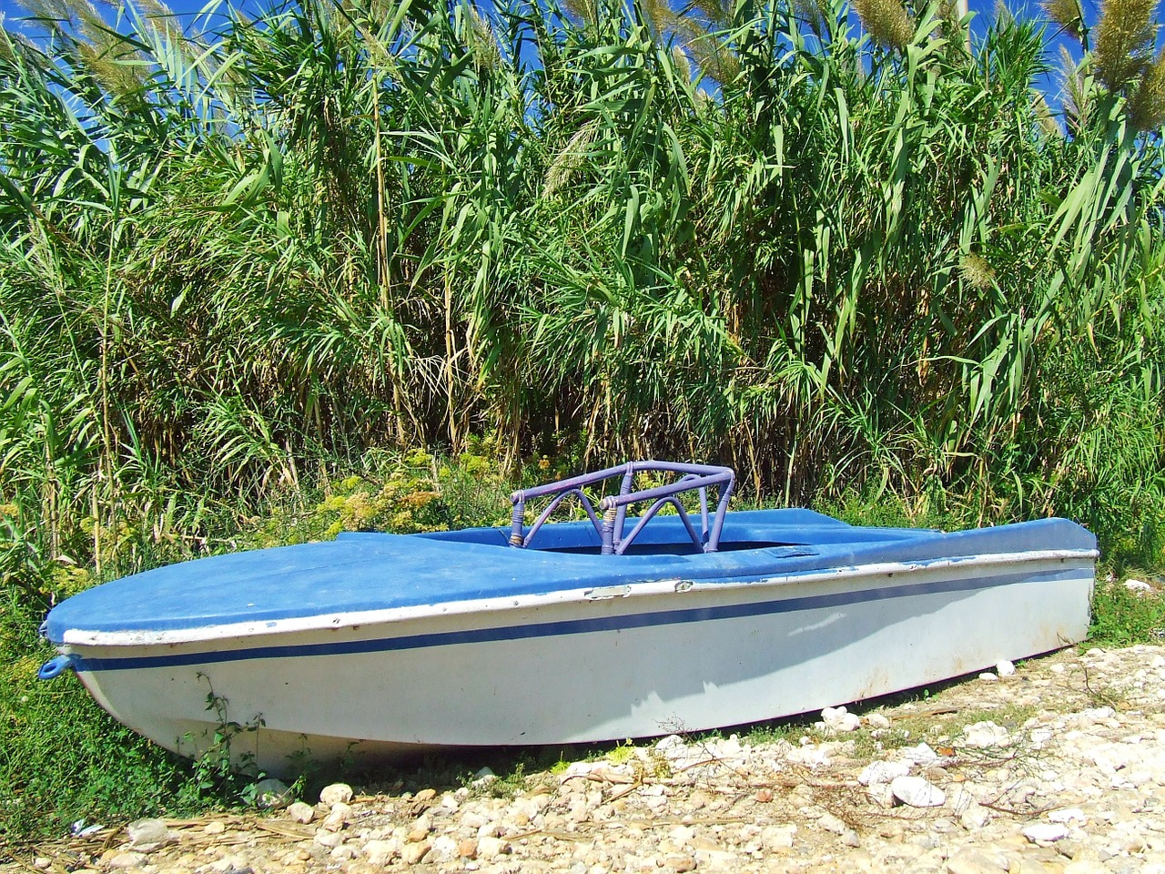 boat blue rowing free photo