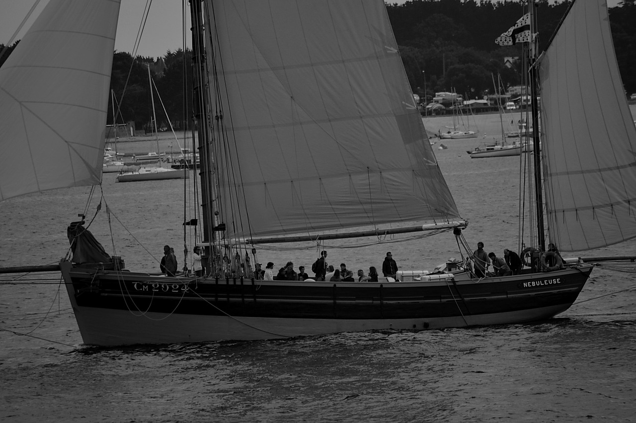boat sailing sailboat free photo