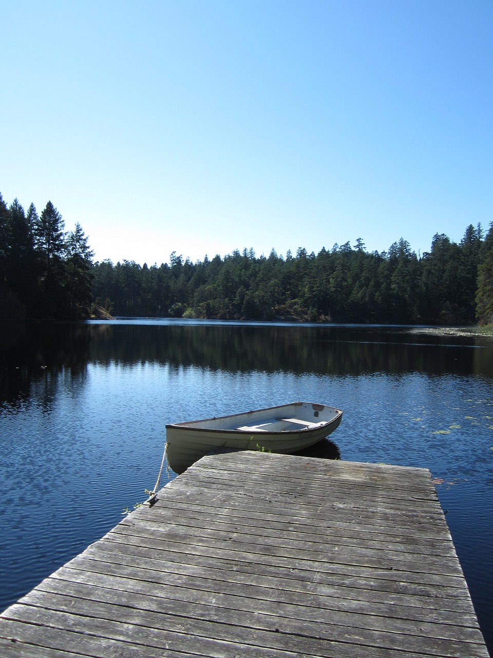 lake peaceful nature free photo