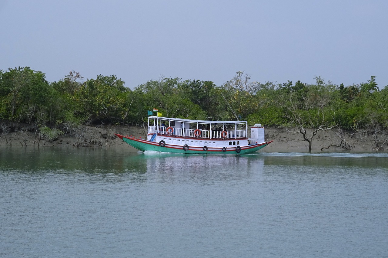 boat river mangroves free photo