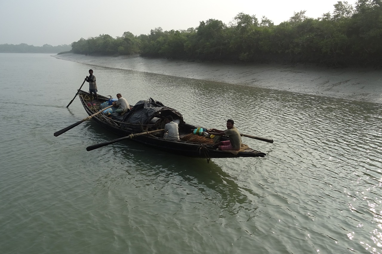 boat mangroves sundarbans free photo