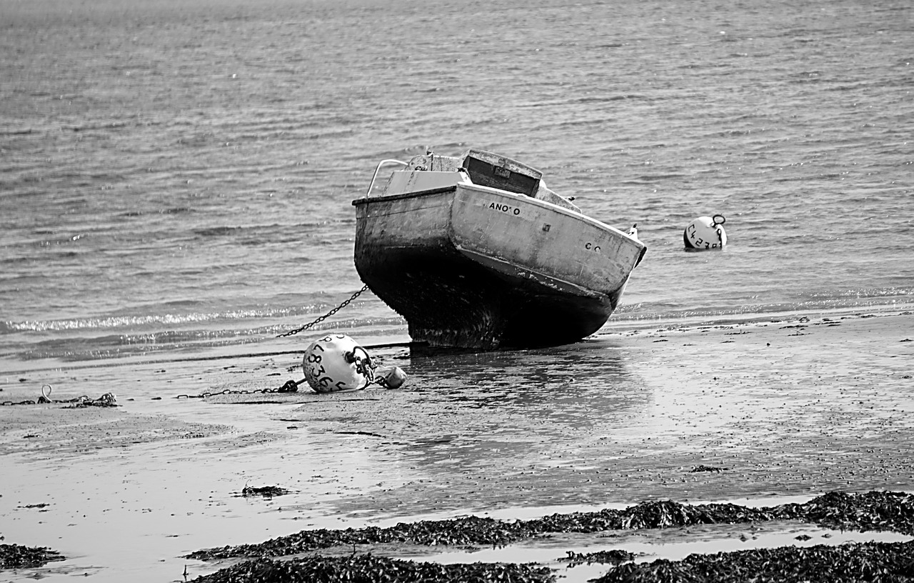 boat sea tide free photo