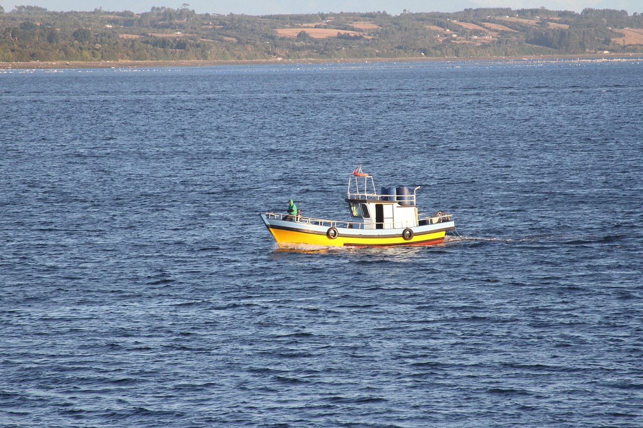 boat artisanal fisheries southern chile free photo