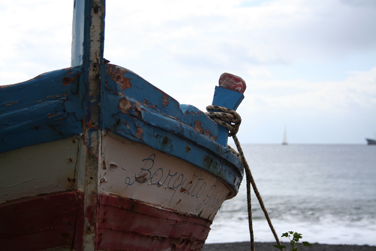 boat sea boats free photo