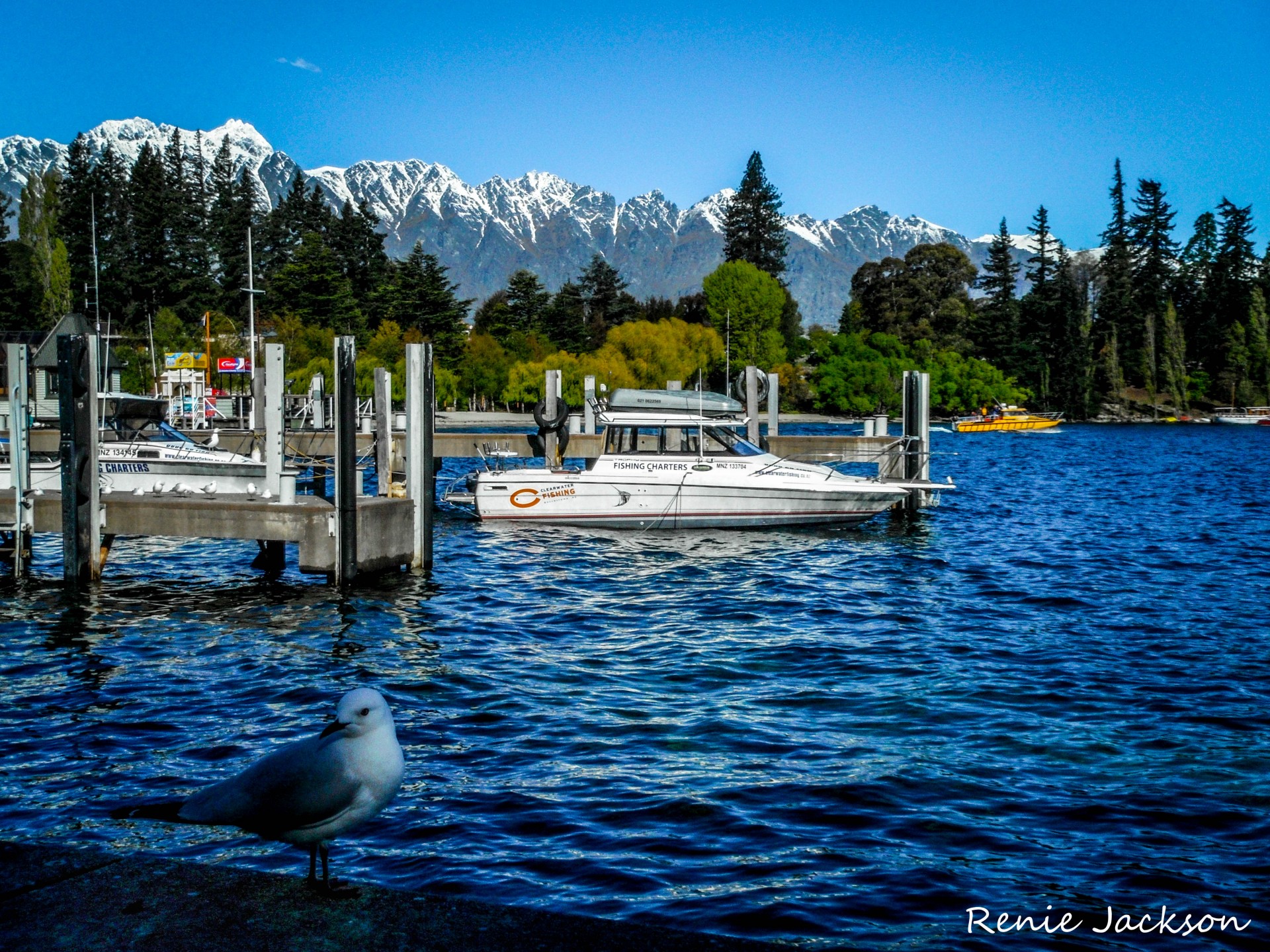 boat lake mountains free photo