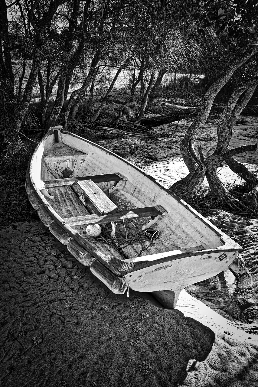 boat rowboat fishing free photo