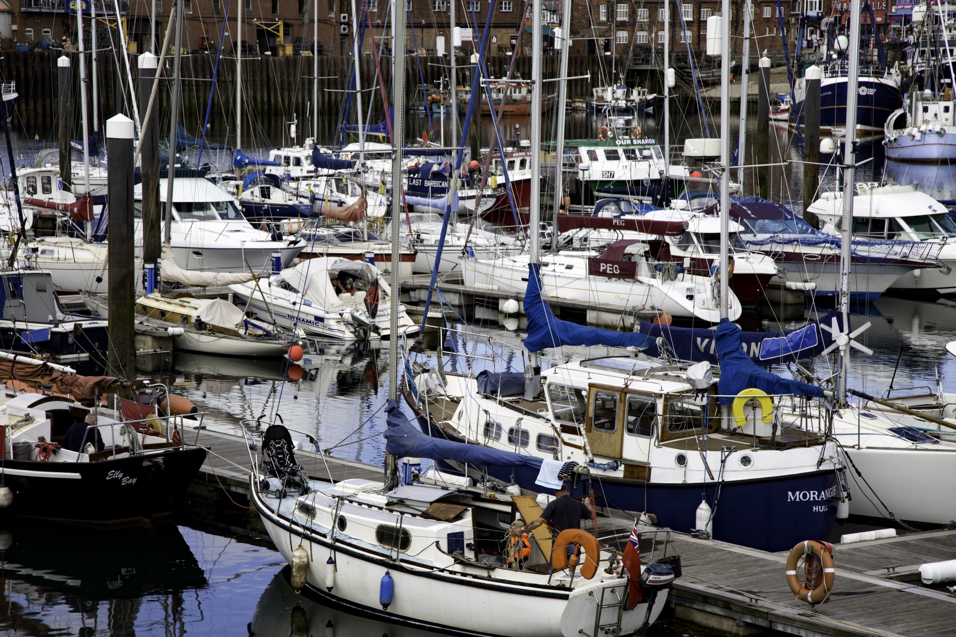 boat small seaside free photo