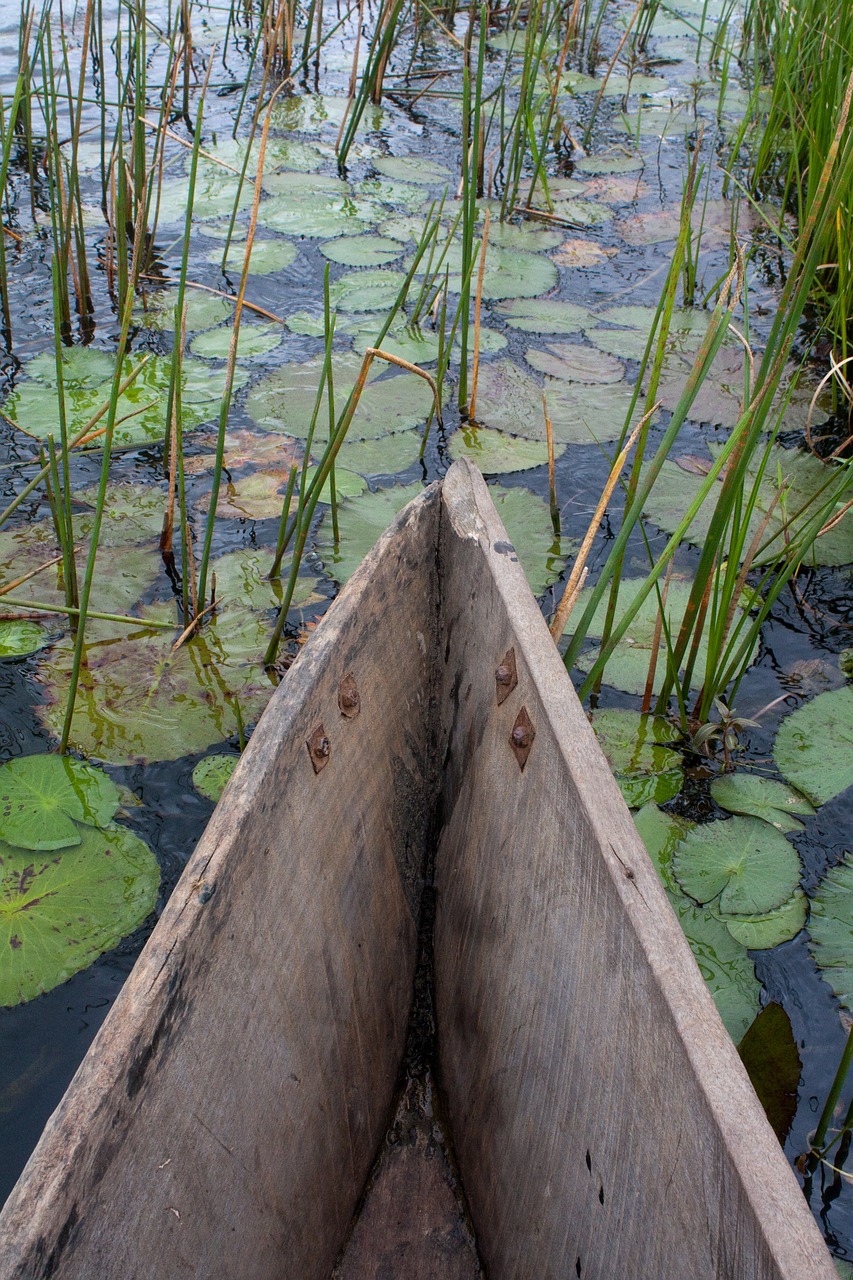 boat river boats free photo