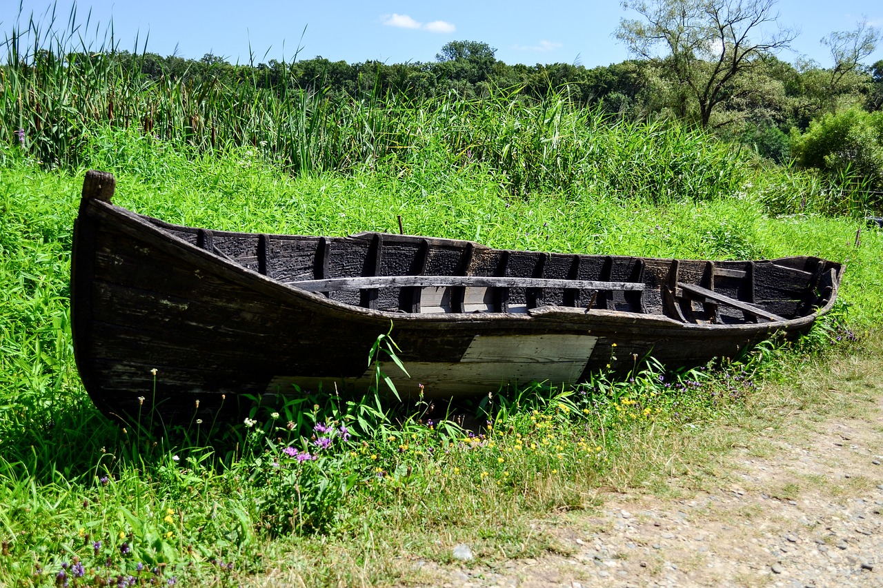 boat old field free photo