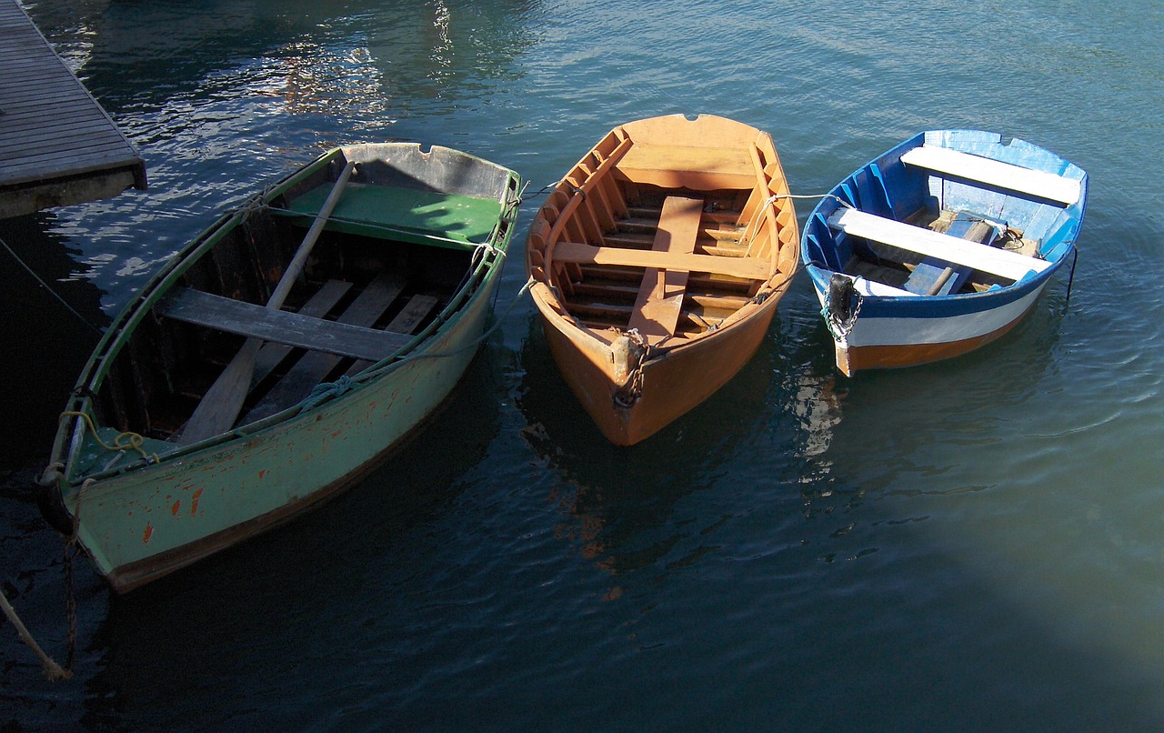 boat rowing beach free photo