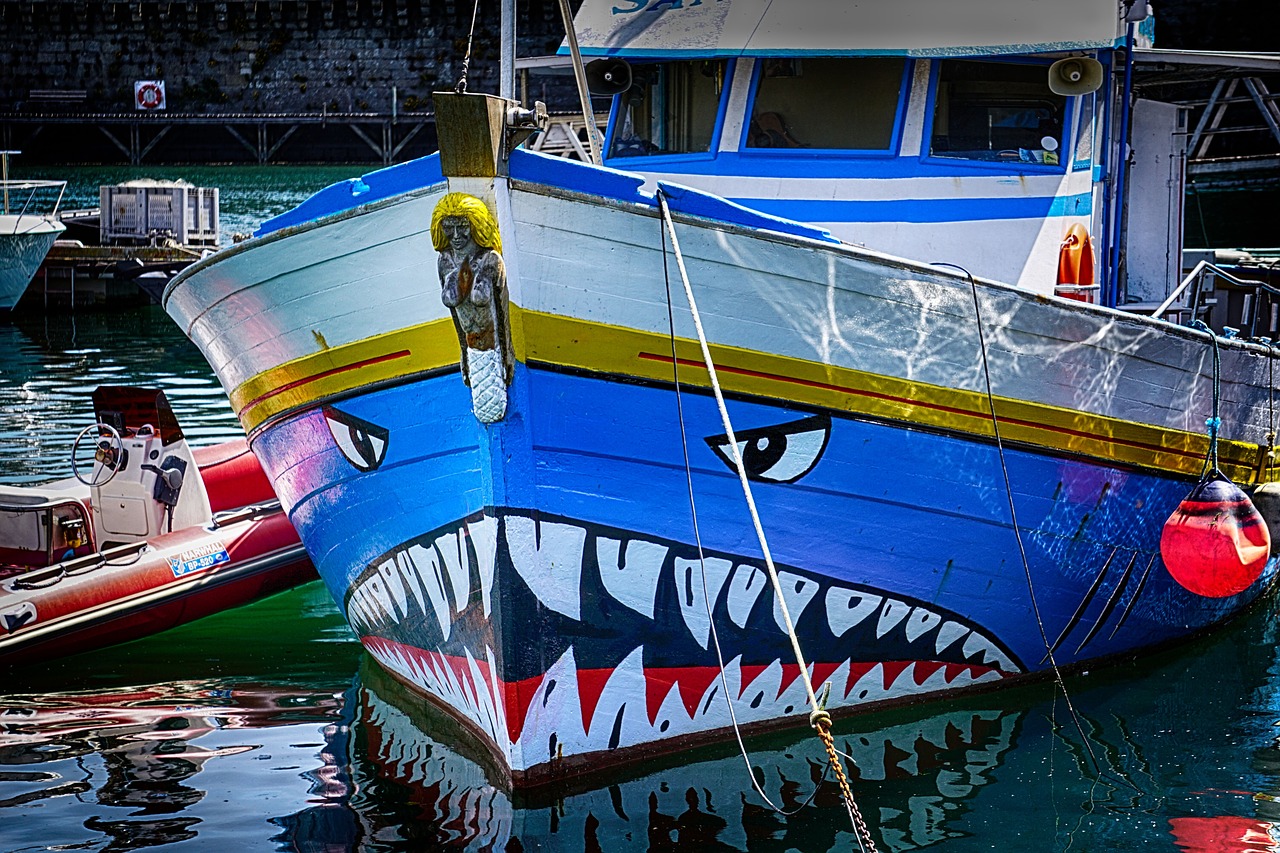 boat shark set designer free photo