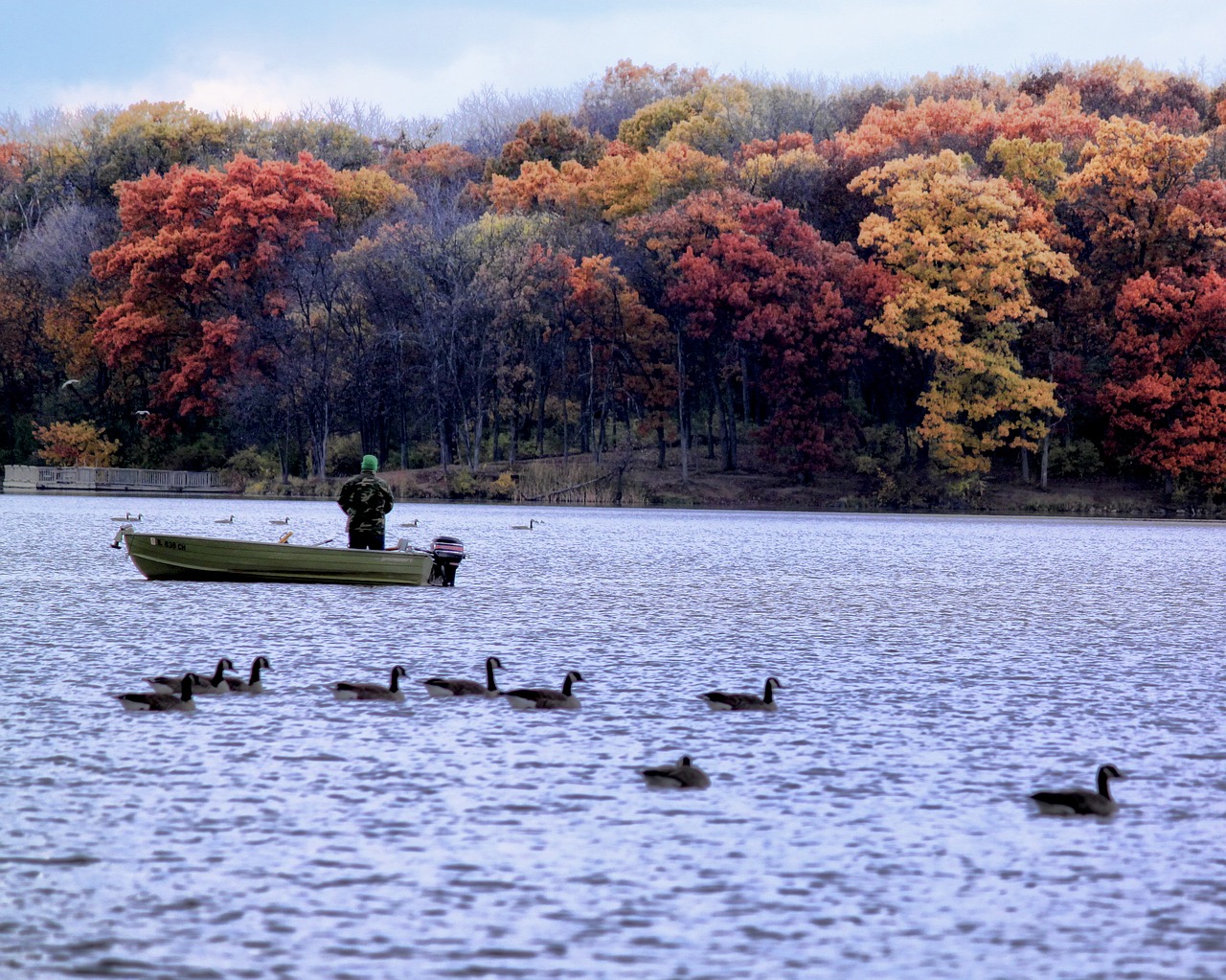 boat fish autumn free photo