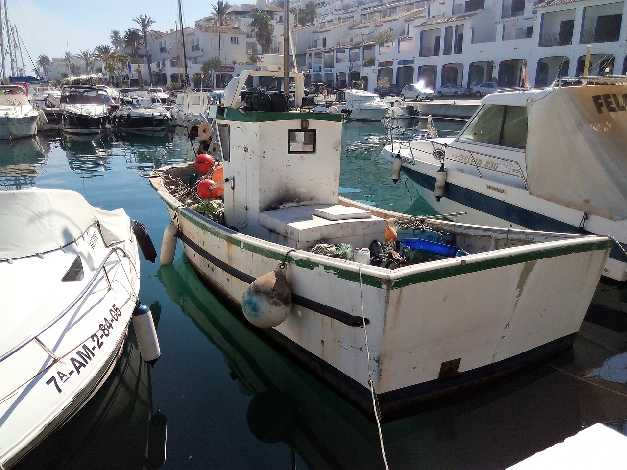 boat marine fishing free photo