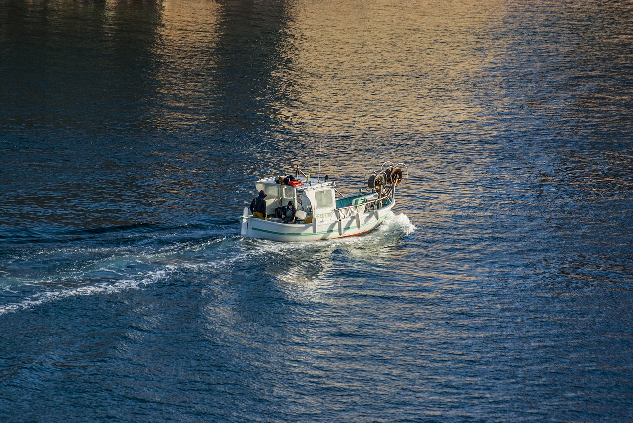 boat barque fisherman free photo