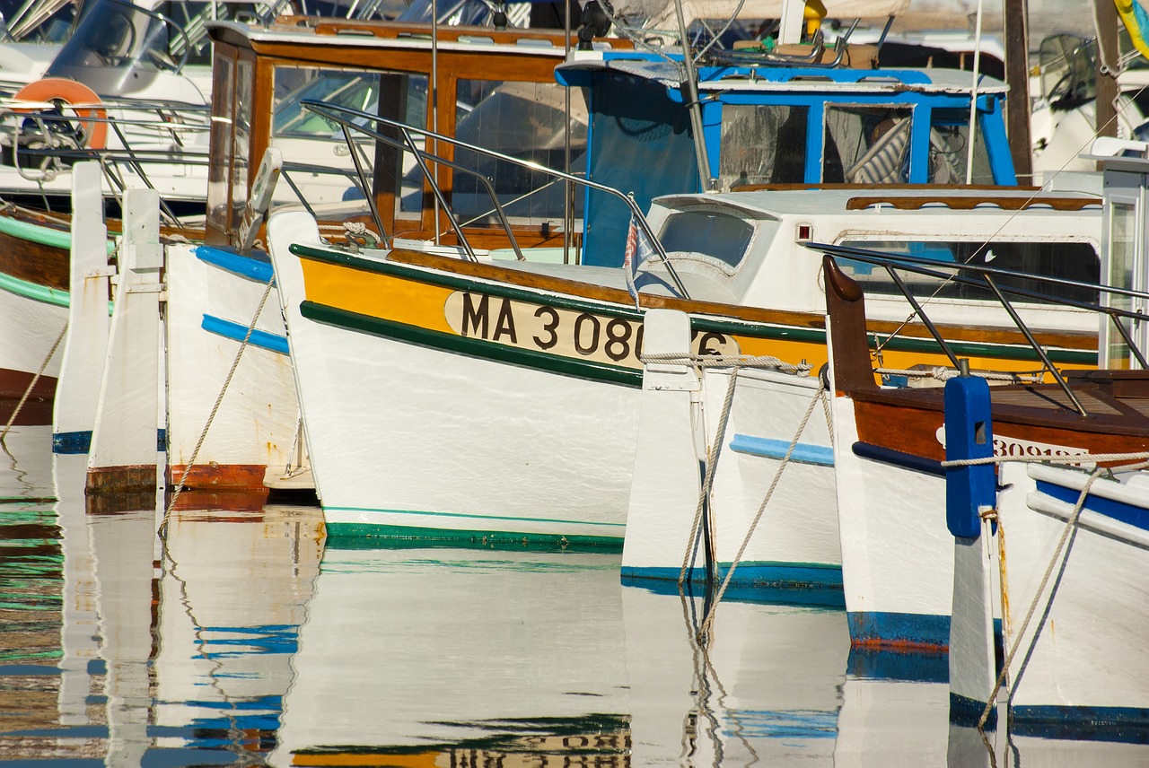 boat barque fishing-boat free photo