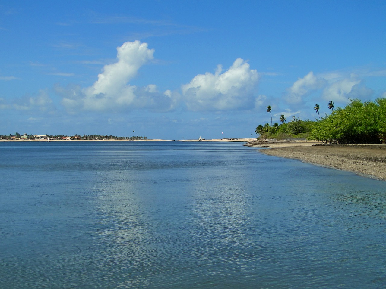 boat river beach free photo