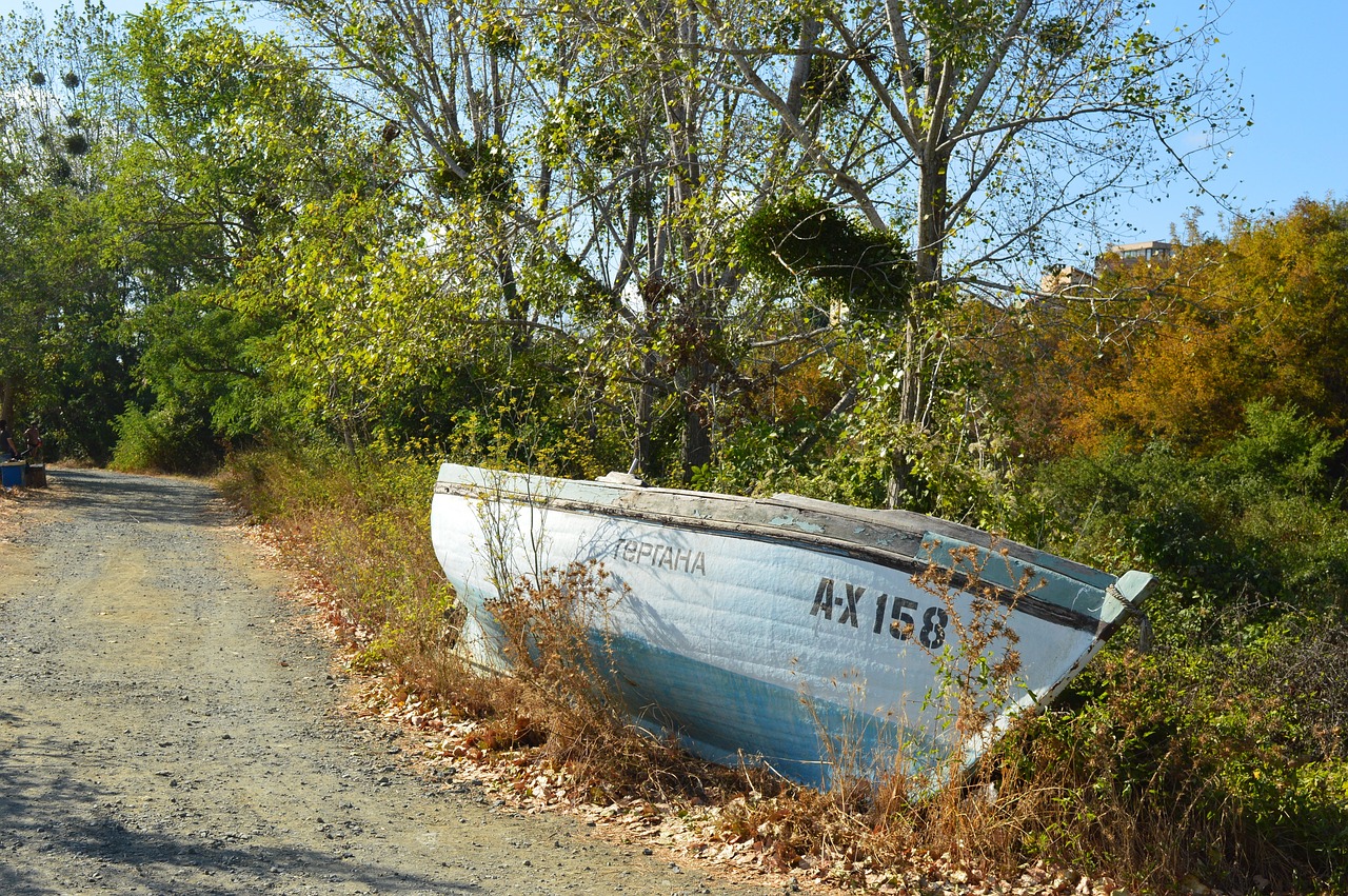 boat forrest nature free photo