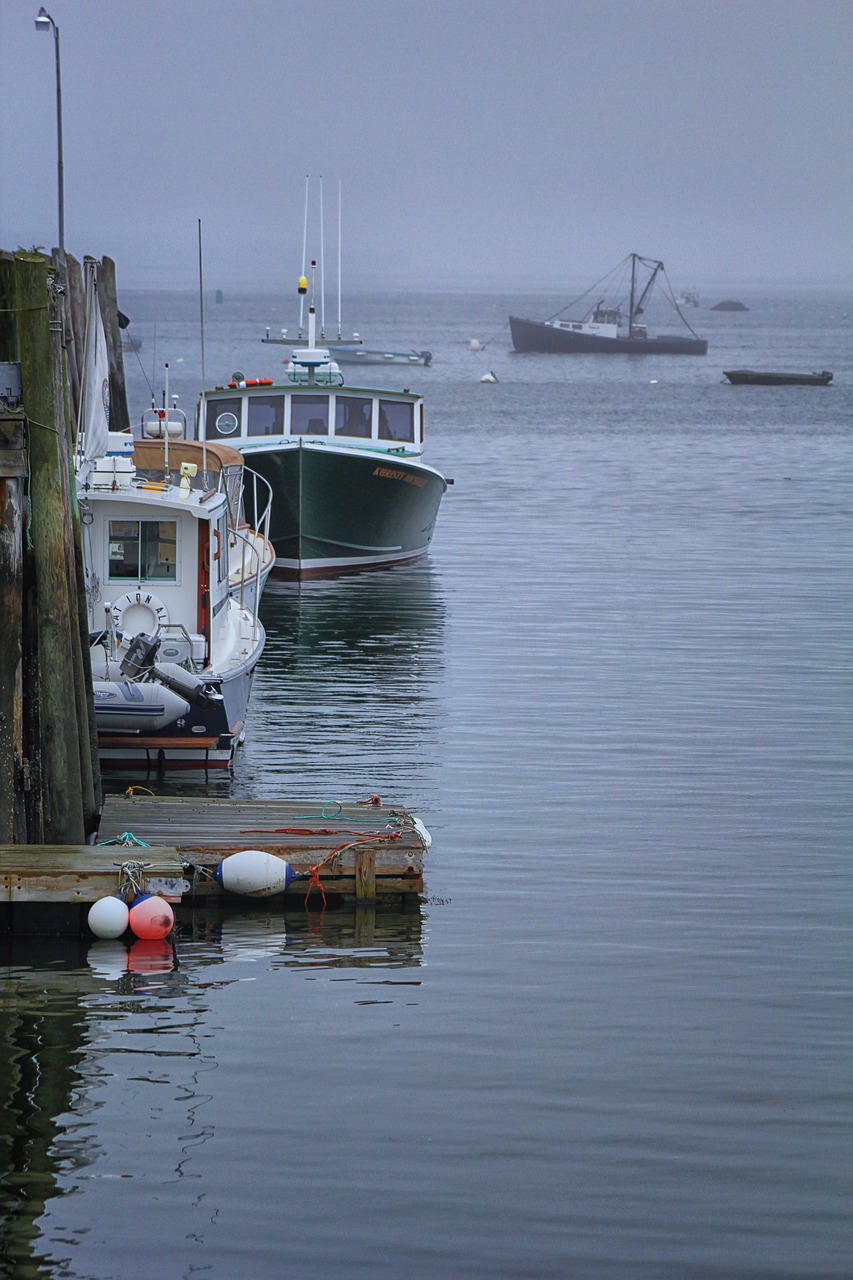 boat sea maine free photo