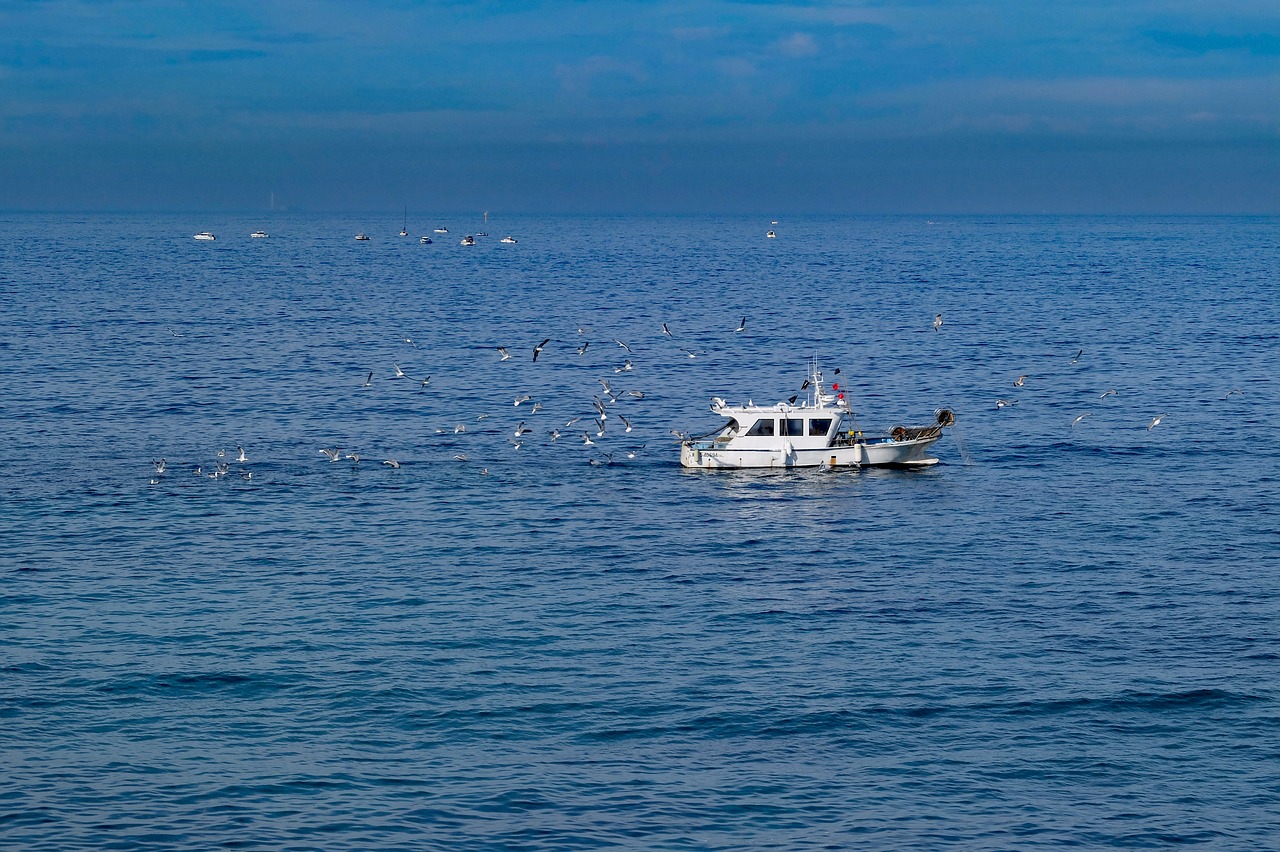 boat fisher boat fishing free photo