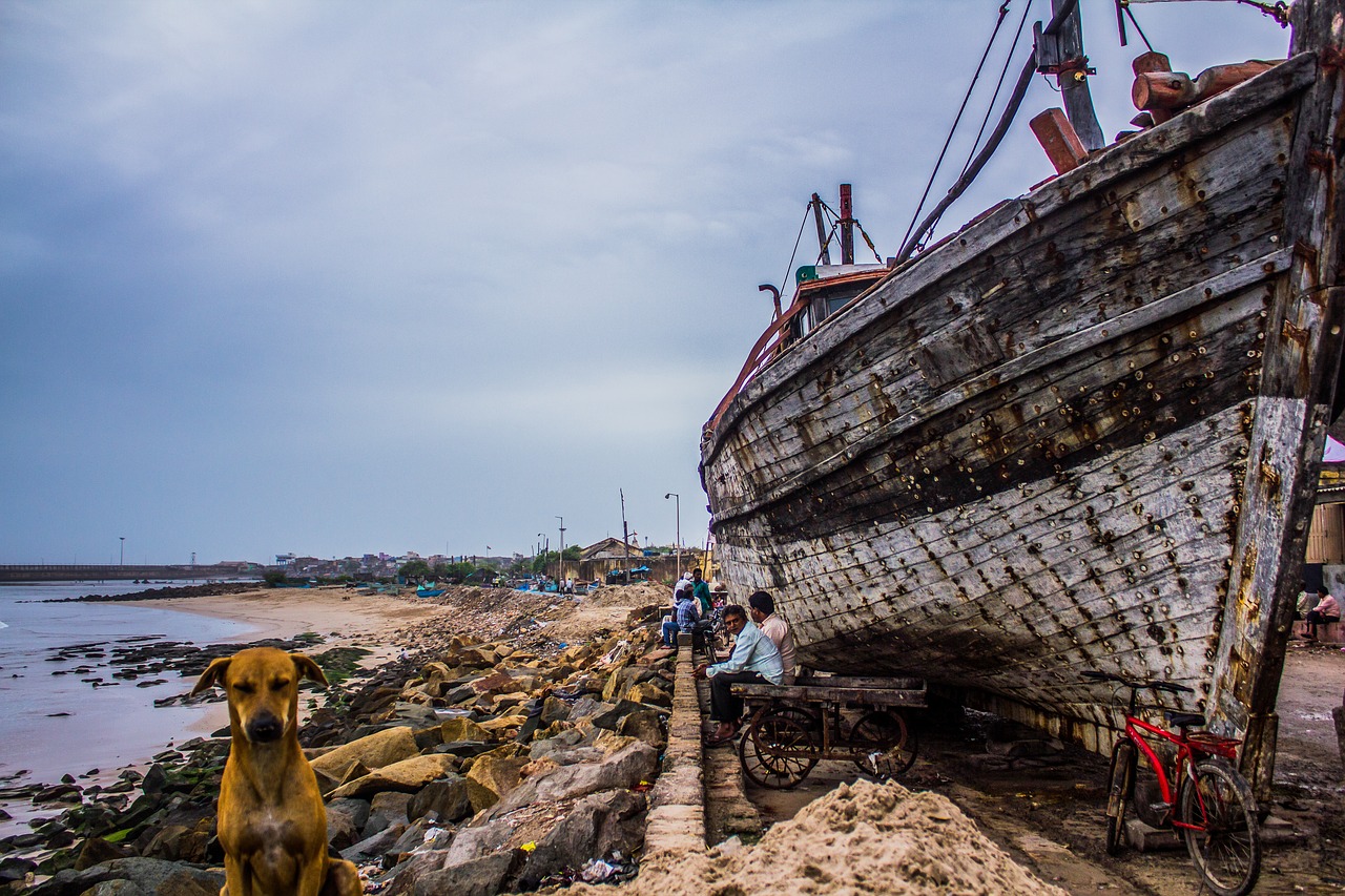 boat beach wreck free photo