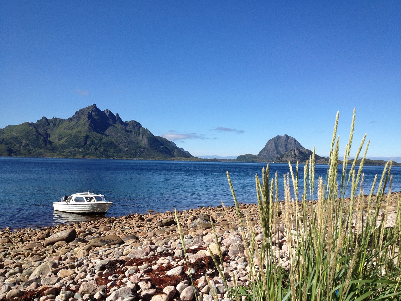 boat boat life sea free photo