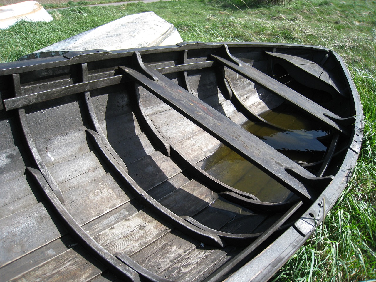 boat summer grass free photo