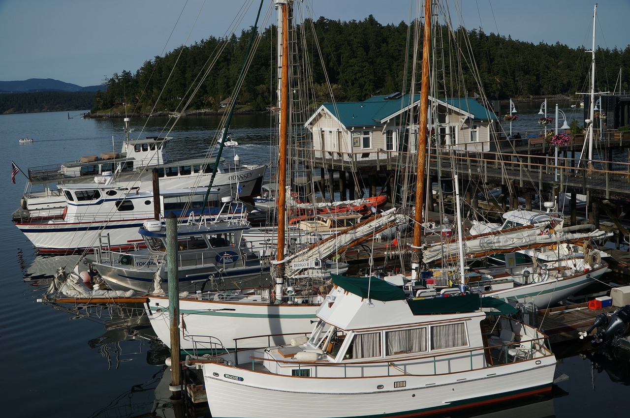 boat harbour water free photo