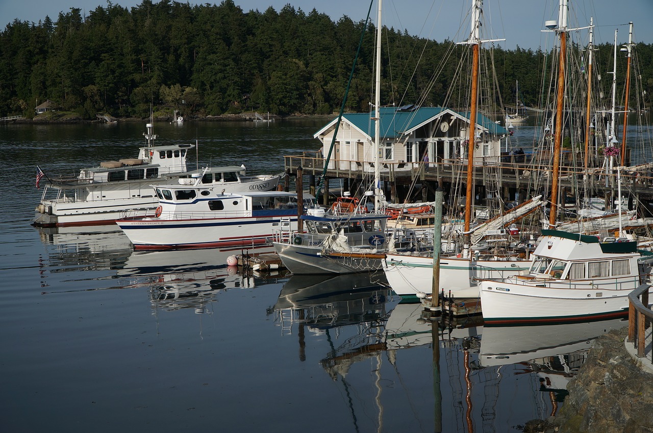 boat harbour water free photo