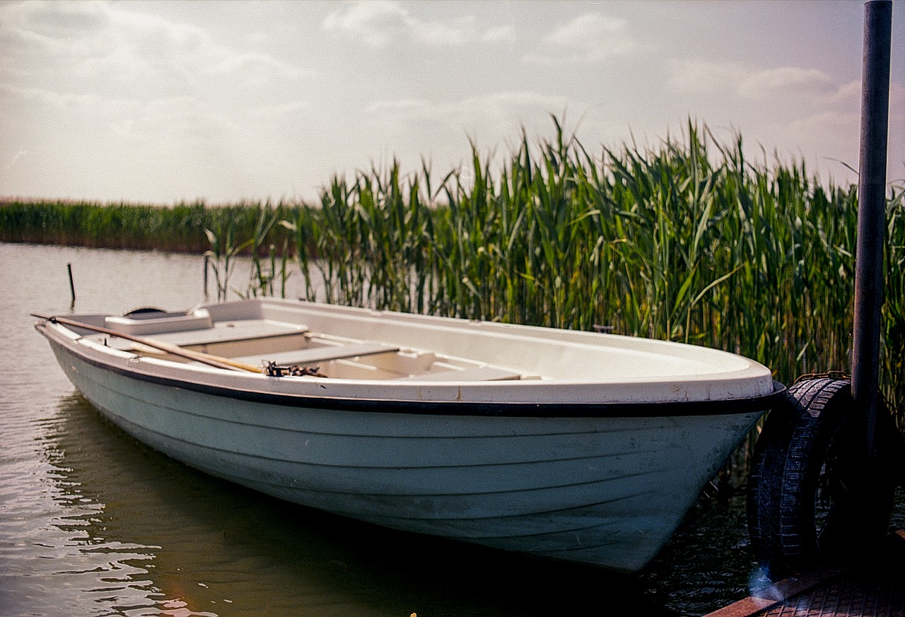 boat lake green free photo