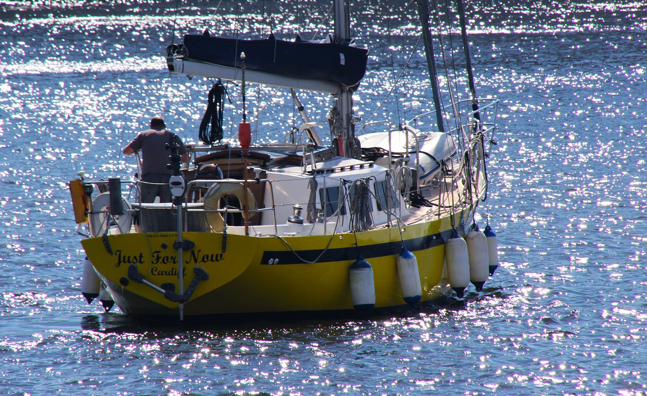 boat cruise vessel free photo