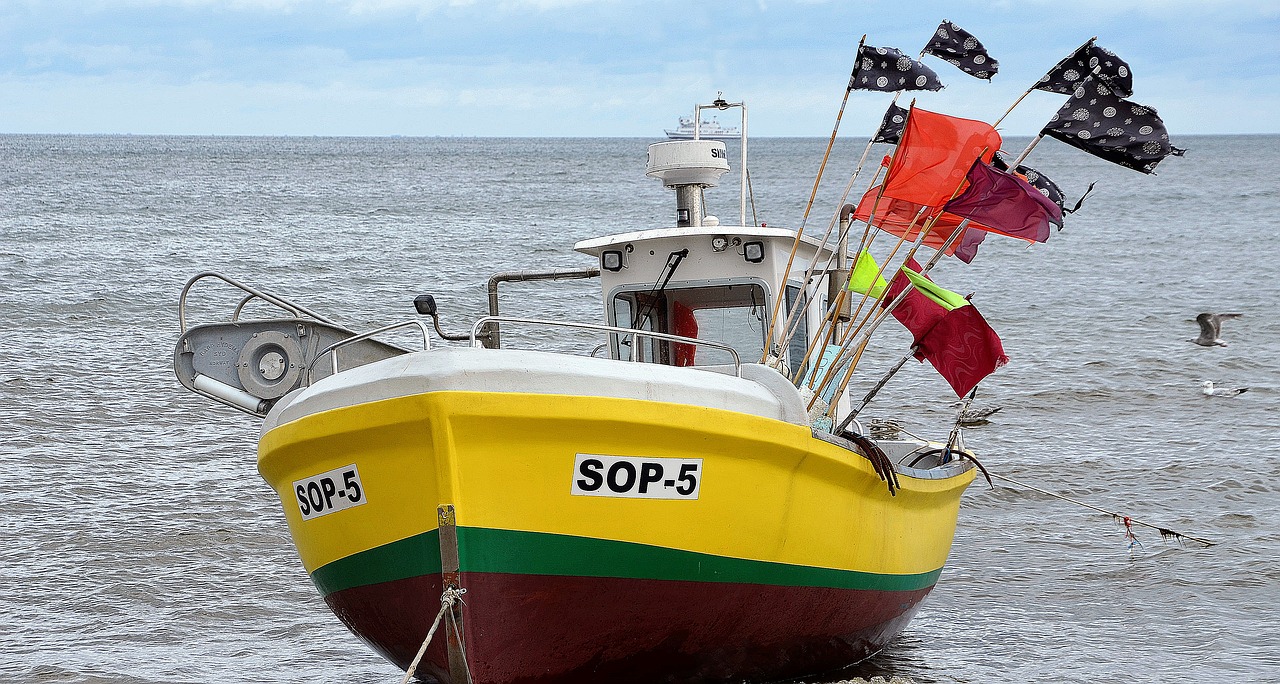 boat fishing sea free photo