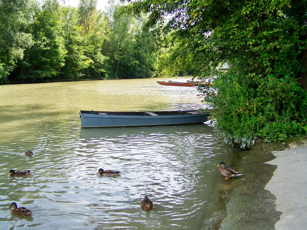 boat river nature free photo