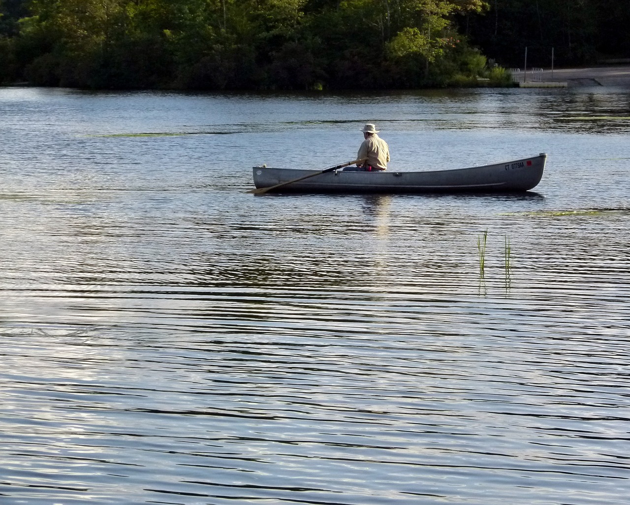 boat rowing rowboat free photo