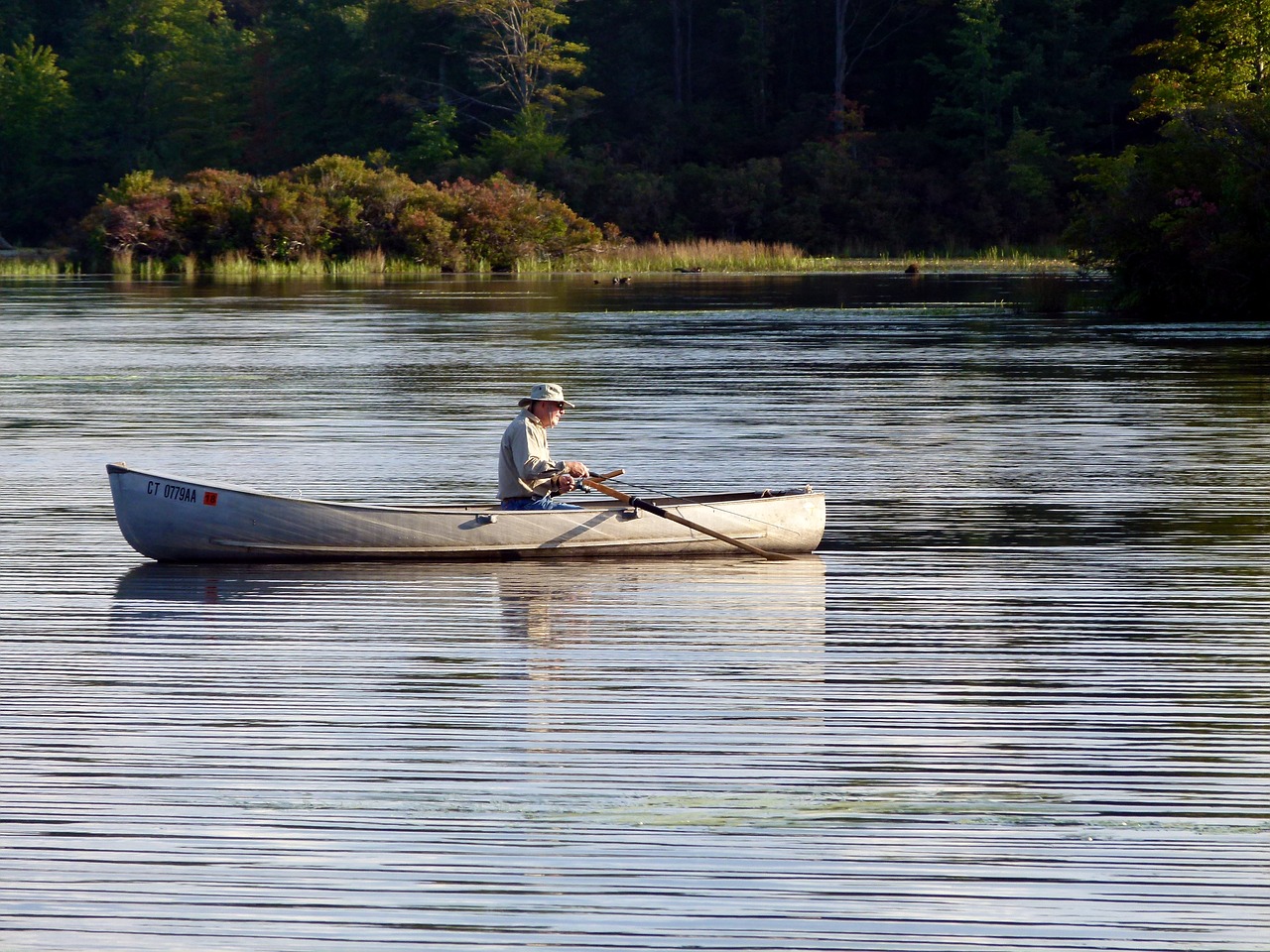boat rowing rowboat free photo