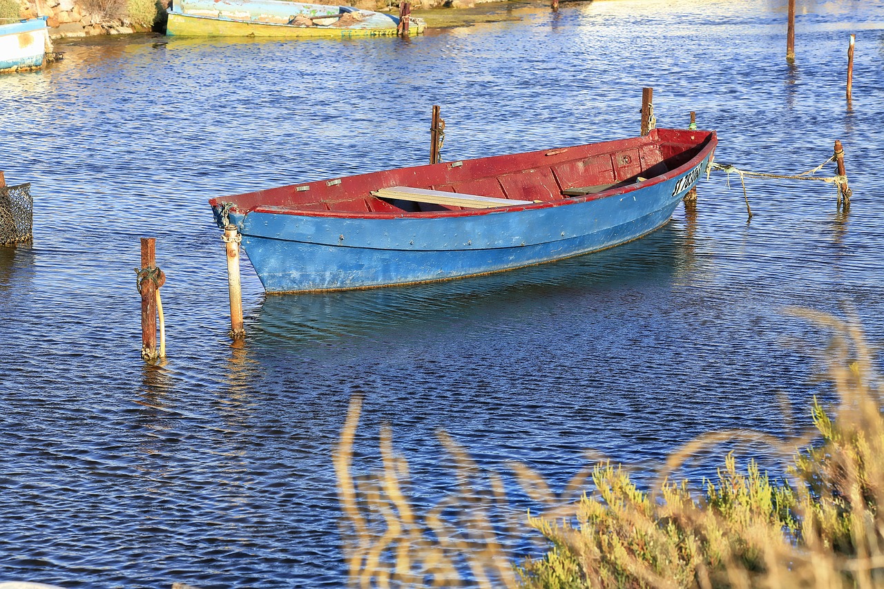 boat fishing traditional fishing free photo