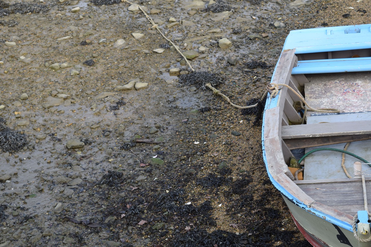 boat beach nature free photo