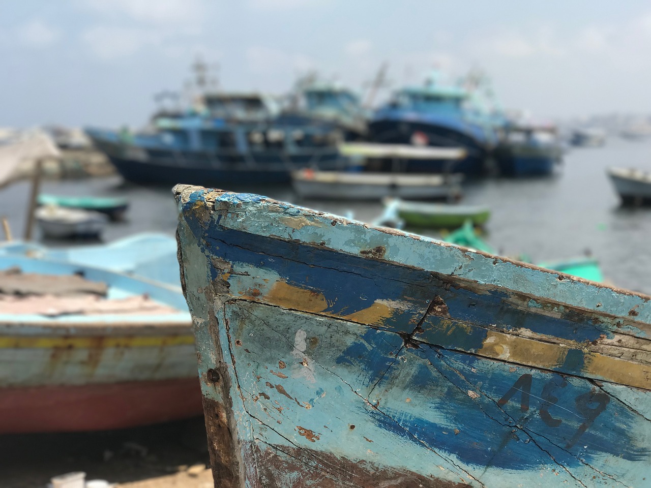 boat alexandria sea free photo