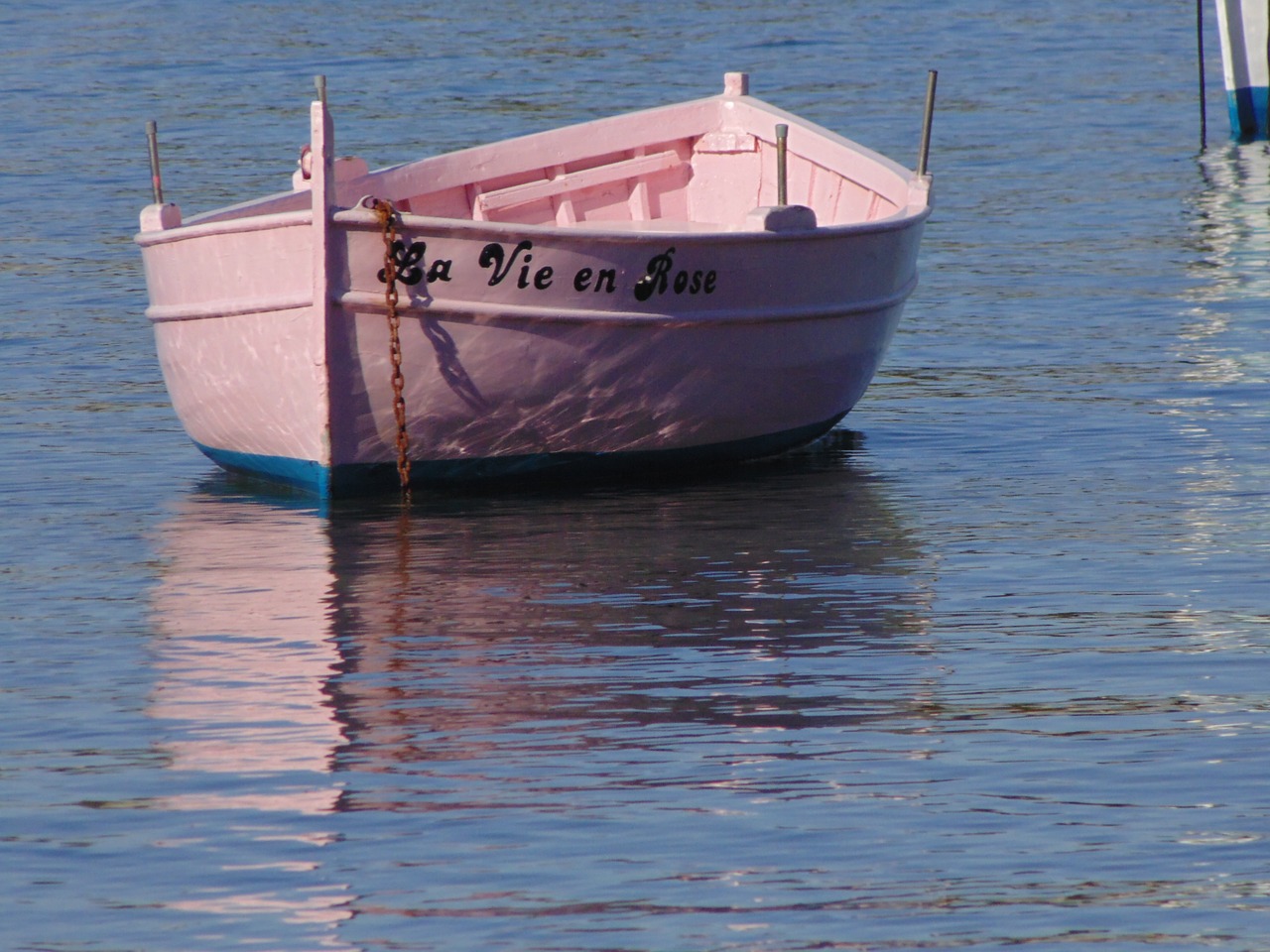 boat sharp méditerraneen cap d'antibes free photo