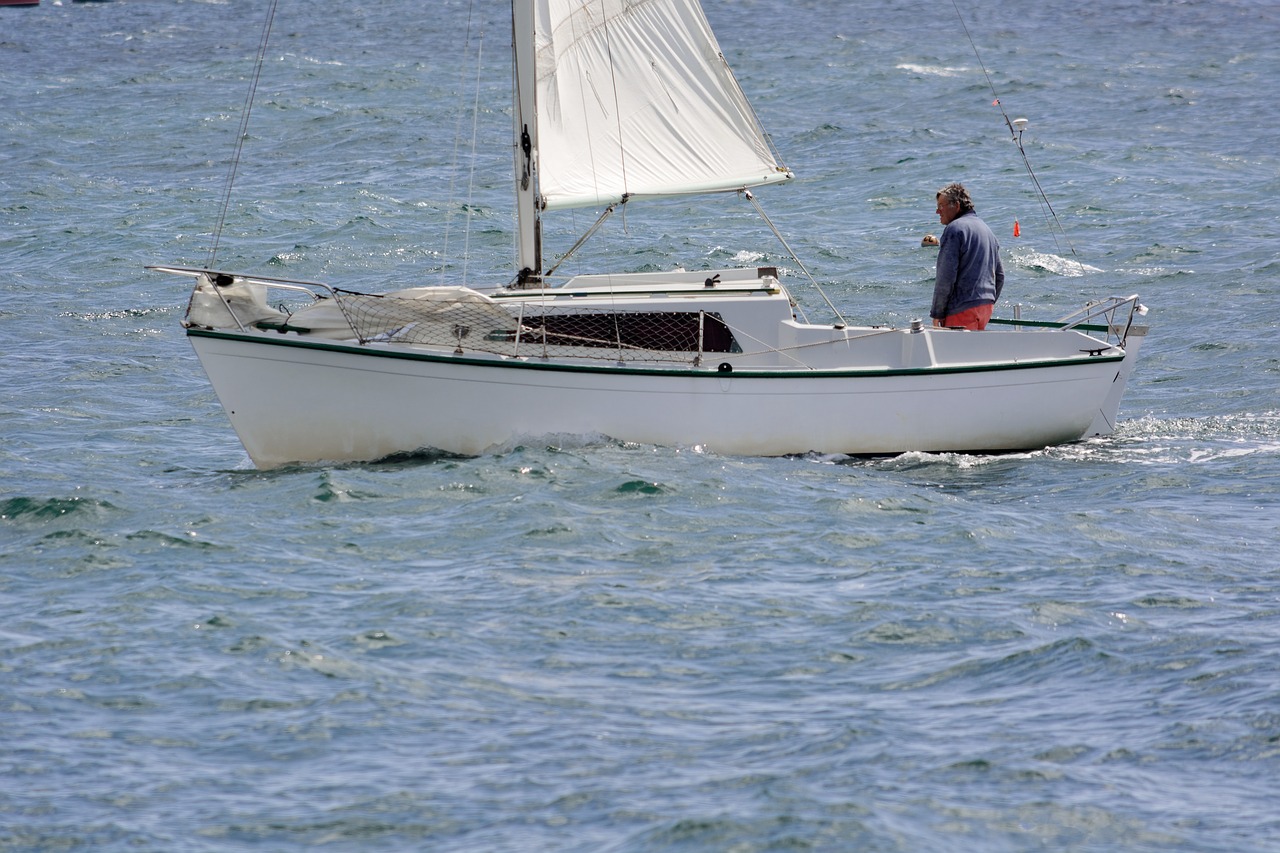 boat sailboat navigation free photo